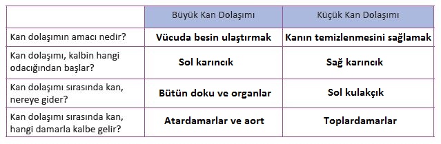 6. Sınıf Fen Bilimleri 70. Sayfa Cevapları
