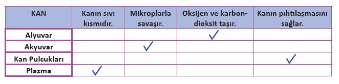 6. Sınıf Fen Bilimleri 72. Sayfa Cevapları