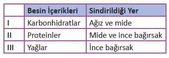 6. Sınıf Fen Bilimleri 84. Sayfa Cevapları
