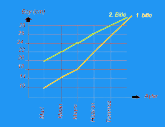 275. sayfa grafik