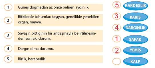 5. Sınıf Türkçe 14. Sayfa Cevapları