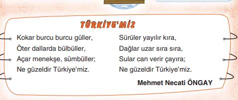 Türkiyemiz şiir