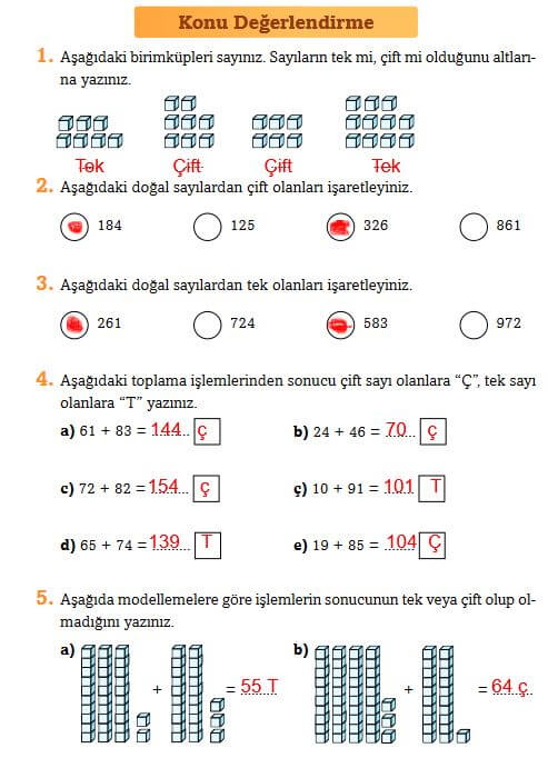 tek sayı çift sayı problemleri