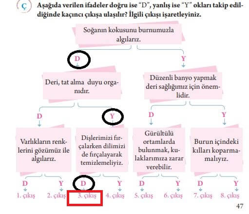 3. sınıf fen sayfa 47 tuna yay.