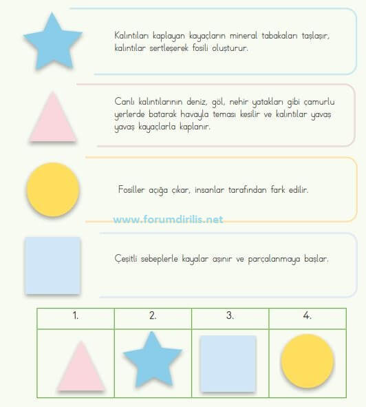 fosillerin oluşum sırası