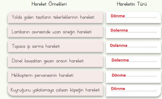 dönme ve dolanma hareketleri