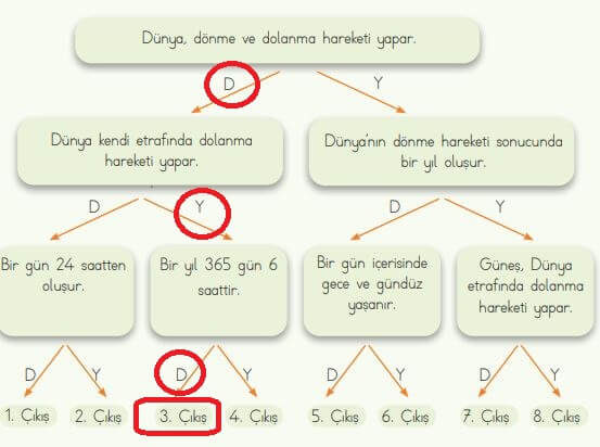 dünyanın dönme ve dolanma hareketleri