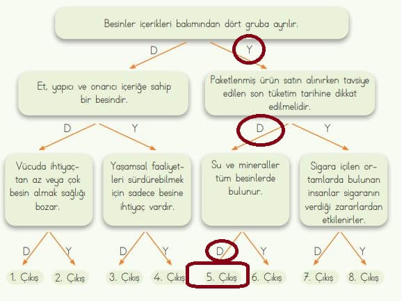 4. sınıf fen bilimleri sayfa 67