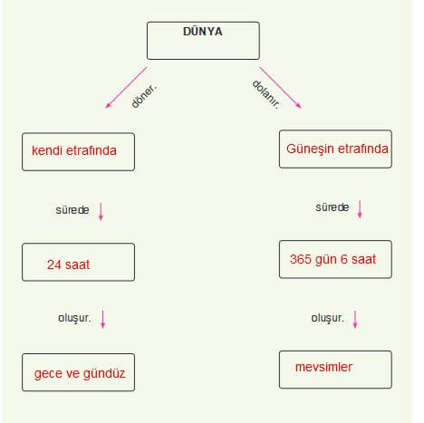 4. Sınıf Fen Bilimleri Sayfa 29 Cevapları Sözcü Yayınları