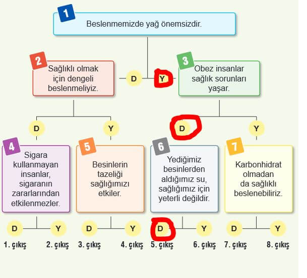 4. Sınıf Fen Bilimleri Sayfa 46 Cevapları Sözcü yayıncılık