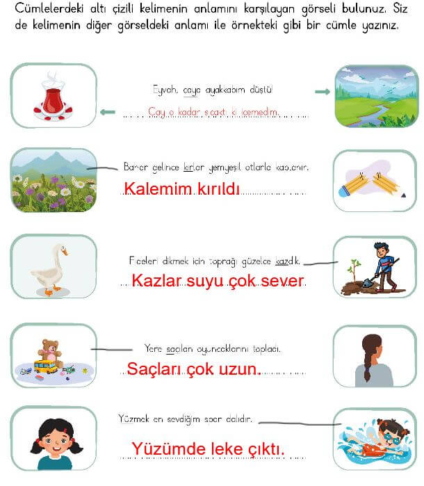 4. Sınıf Türkçe Ders Kitabı 67. Sayfa cevapları Meb 
