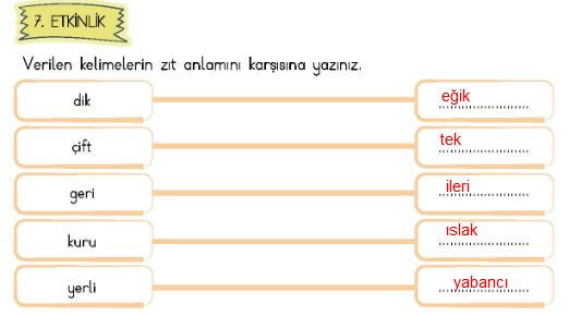 4. Sınıf Türkçe Ders Kitabı Sayfa 33 Cevapları Meb 