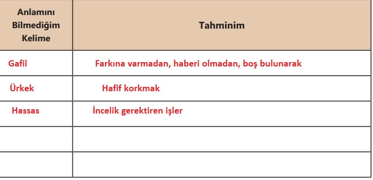 6. sınıf türkçe sayfa 26 meb 