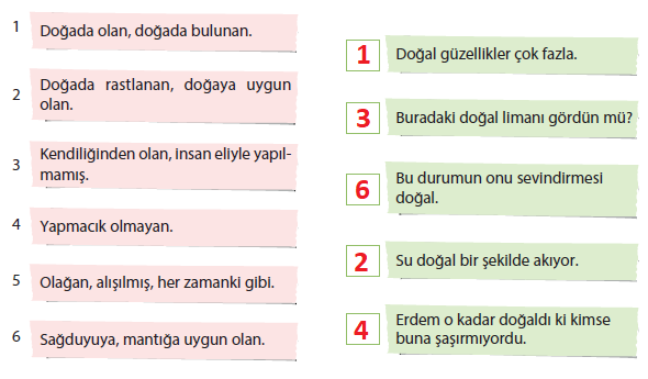 Doğal Kelimesinin Anlamları