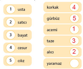 5. Sınıf Türkçe 27. Sayfa Cevapları