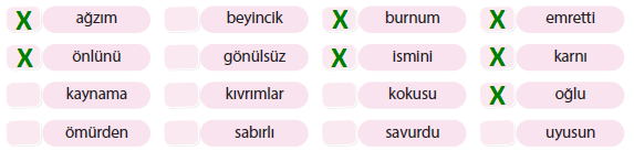 Ünlü Düşmesi Örnekleri