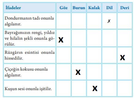 duyu organlarımız