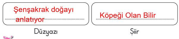 2. sınıf türkçe ders kitabı cevapları sayfa 121 MEB 