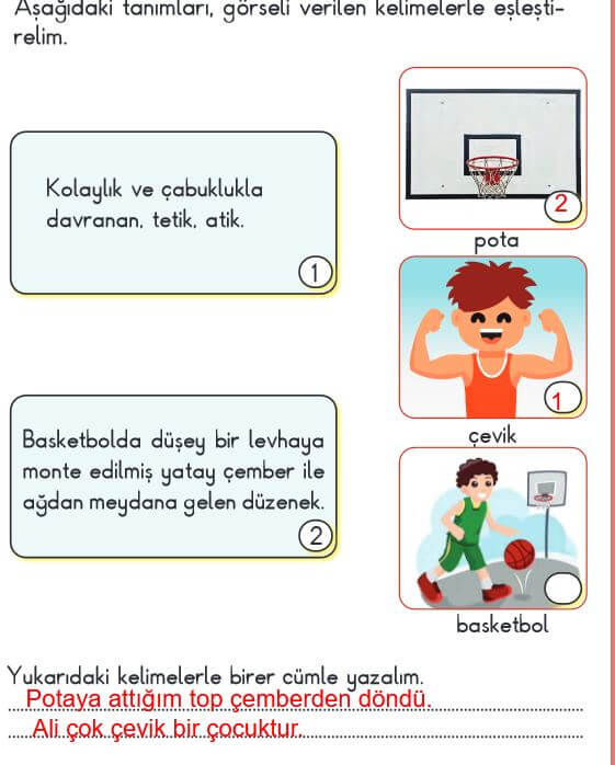 2. sınıf türkçe ve basket metni cevapları