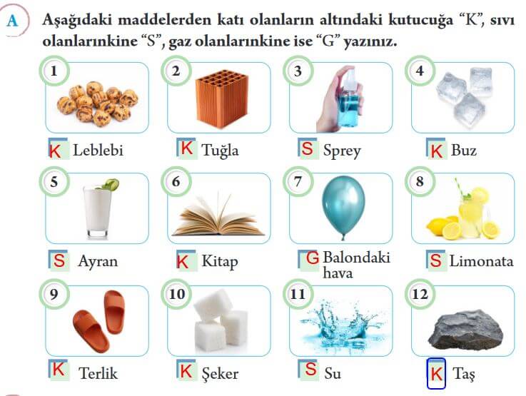 3. sınıf fen bilimleri ders kitabı cevapları sayfa 100 Tuna yayınları