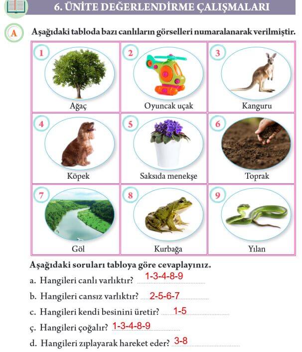 3. sınıf fen bilimleri ders kitabı cevapları sayfa 173 tuna yayın