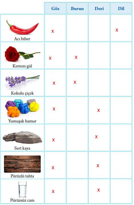 maddeleri hangi duyularımızla hissederiz