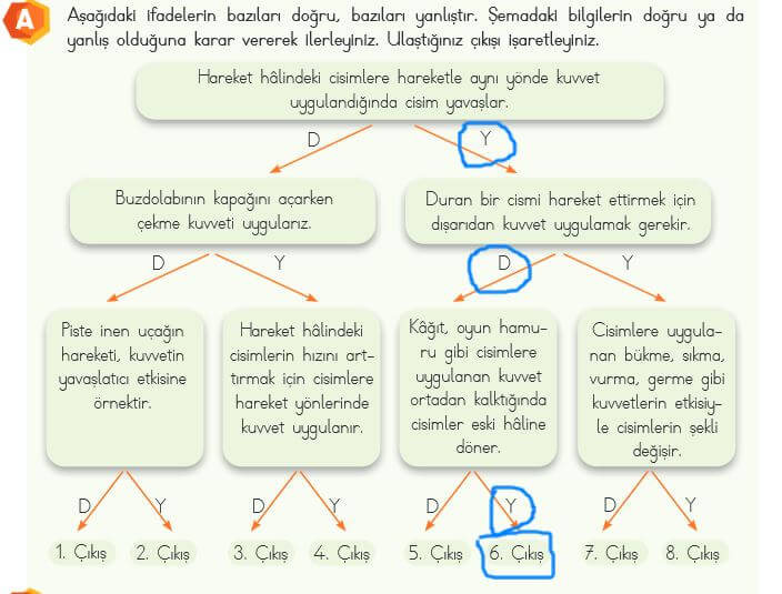 4. sınıf fen bilimleri 79. sayfa cevapları meb 