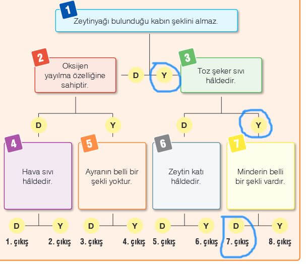 4. sınıf fen bilimleri 90. sayfa cevapları sözcü yayın