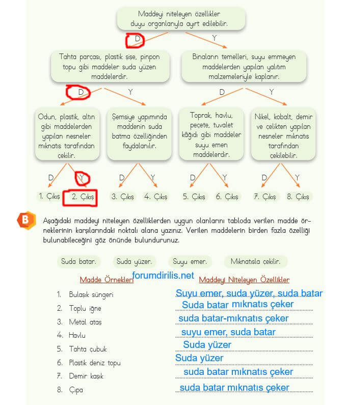 4. sınıf fen bilimleri ders kitabı sayfa 102 cevapları MEB 