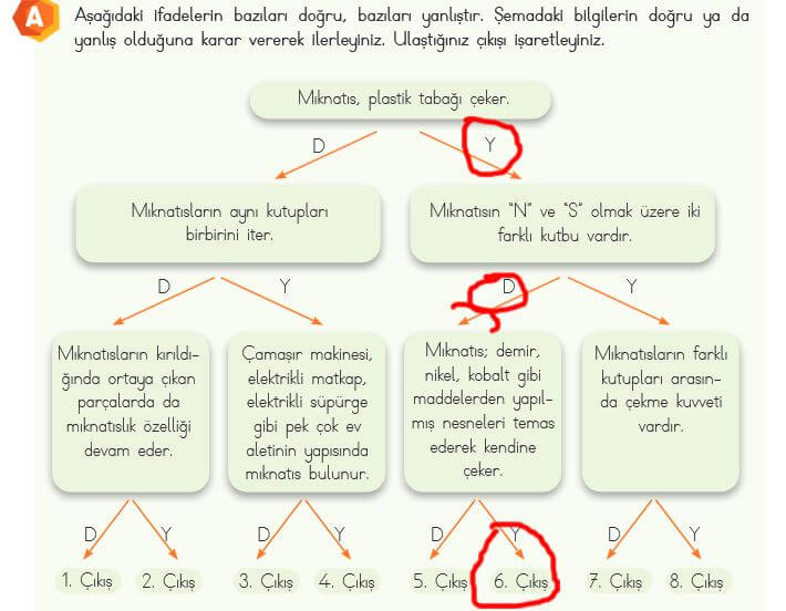 4. sınıf fen bilimleri ders kitabı sayfa 89 cevapları MEB 