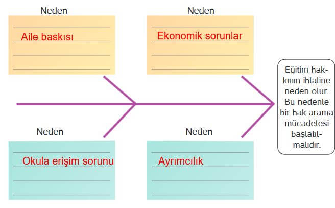 4. sınıf insan hakları 33. sayfa cevapları hecce yayınları