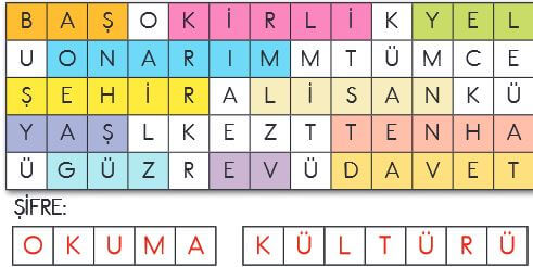 2. Sınıf Türkçe Ders Kitabı Sayfa 243 Cevapları MEB Yayın