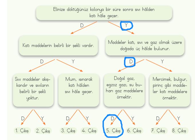 4. sınıf fen bilimleri 115. sayfa cevapları MEB Yayın