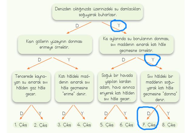 4. sınıf fen bilimleri 123. sayfa cevapları MEB Yayın