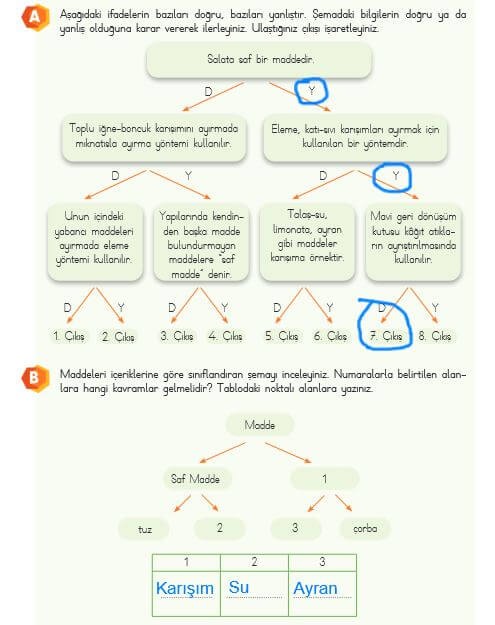 4. sınıf fen bilimleri 131. sayfa cevapları MEB yayın