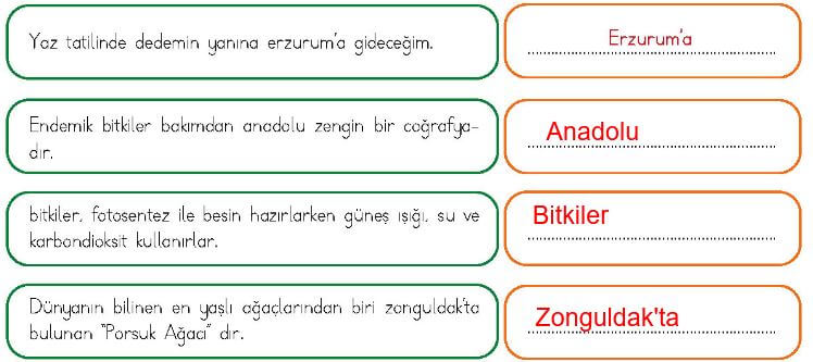 4. sınıf türkçe ders kitabı sayfa 148 cevapları meb yayın