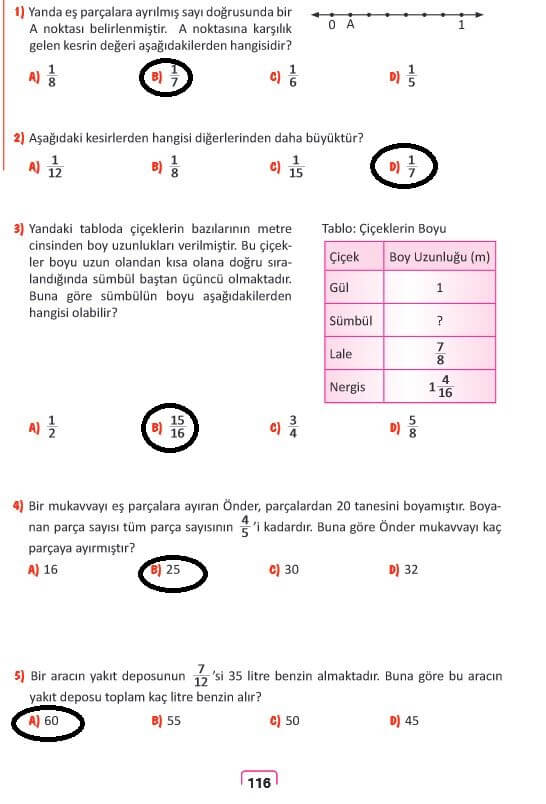 5. sınıf matematik ders kitabı sayfa 116 cevapları MEB 