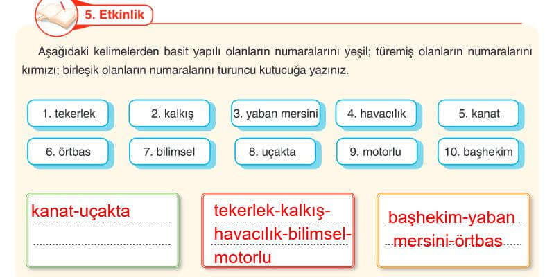 6. Sınıf Türkçe Ders Kitabı Sayfa 153 Cevapları Anka Yayın
