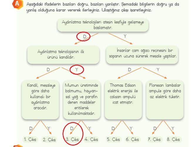 4. Sınıf Fen Bilimleri 146. Sayfa Cevapları MEB 