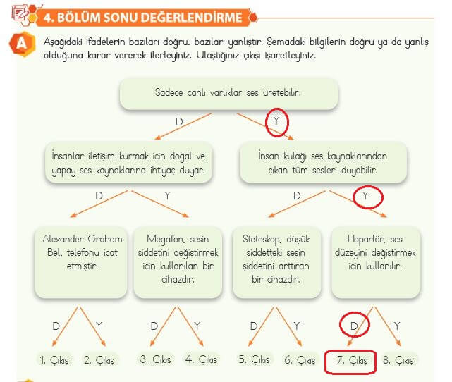 4. Sınıf Fen Bilimleri 166. Sayfa Cevapları MEB 