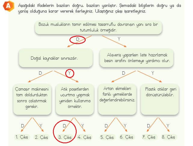 4. Sınıf Fen Bilimleri 191. Sayfa Cevapları MEB 