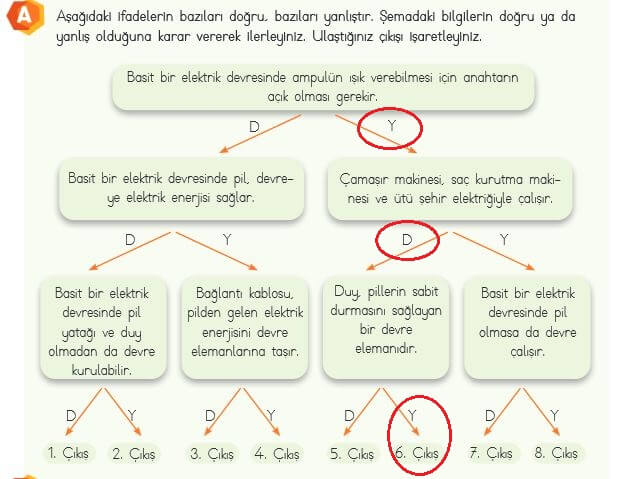 4. Sınıf Fen Bilimleri 204. Sayfa Cevapları MEB 