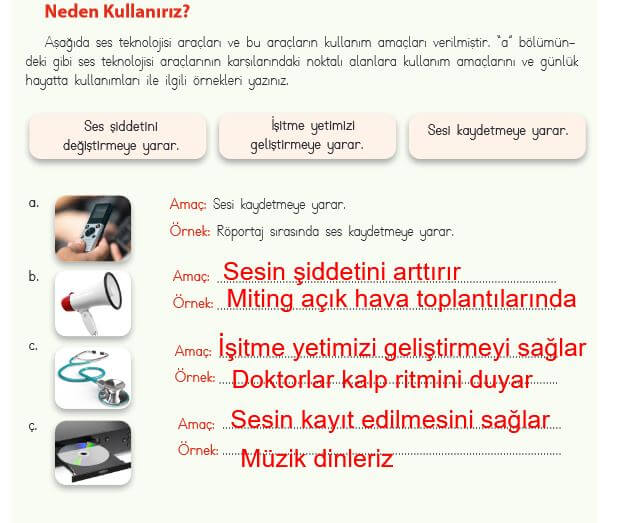 4. Sınıf Fen Bilimleri Sayfa 164 Cevapları MEB 