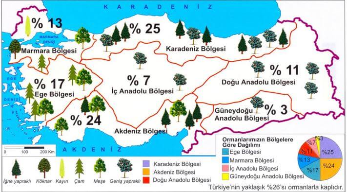 Türkiye orman haritası