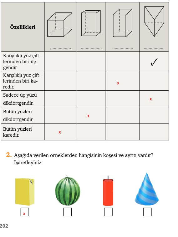 3. Sınıf Matematik Sayfa 202 Cevapları Ekoyay Yayın