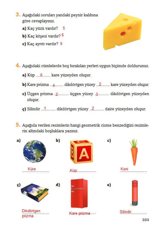 3. Sınıf Matematik Sayfa 203 Cevapları Ekoyay Yayın