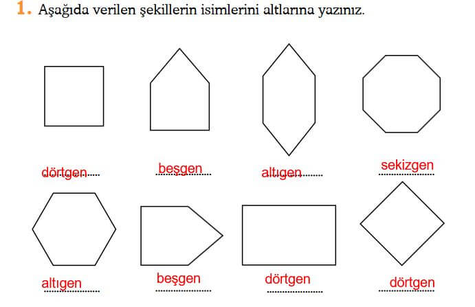 3. Sınıf Matematik Sayfa 210 Cevapları Ekoyay Yayın