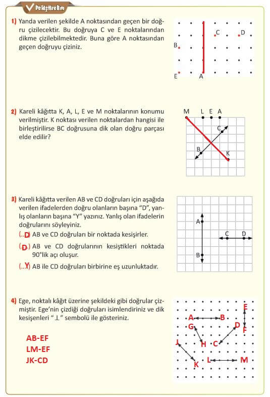 5. Sınıf Matematik Sayfa 203 Cevapları MEB 