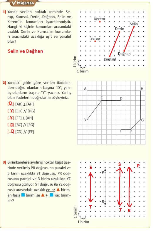 5. Sınıf Matematik Sayfa 206 Cevapları MEB