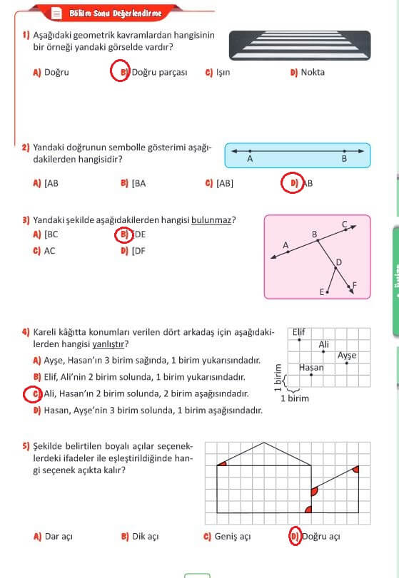 5. Sınıf Matematik Sayfa 207 Cevapları MEB 